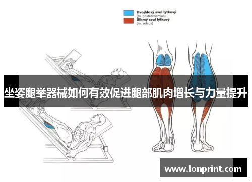 坐姿腿举器械如何有效促进腿部肌肉增长与力量提升